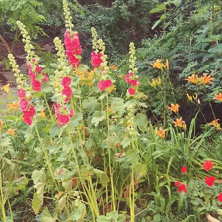 Апартаменты Astarta Riviera Nature