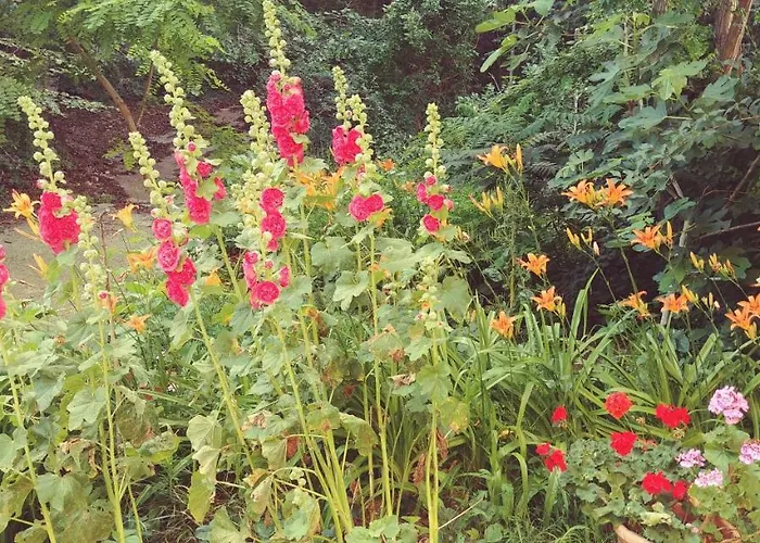 Daire Astarta Riviera Nature